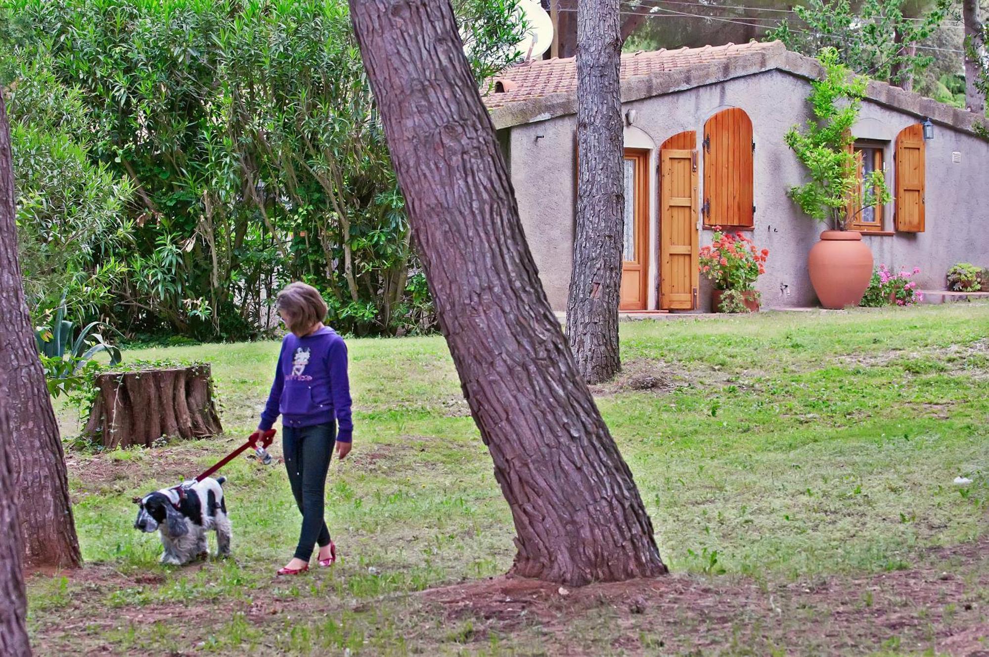 Agriturismo Podere Campalto Campiglia Marittima Ruang foto