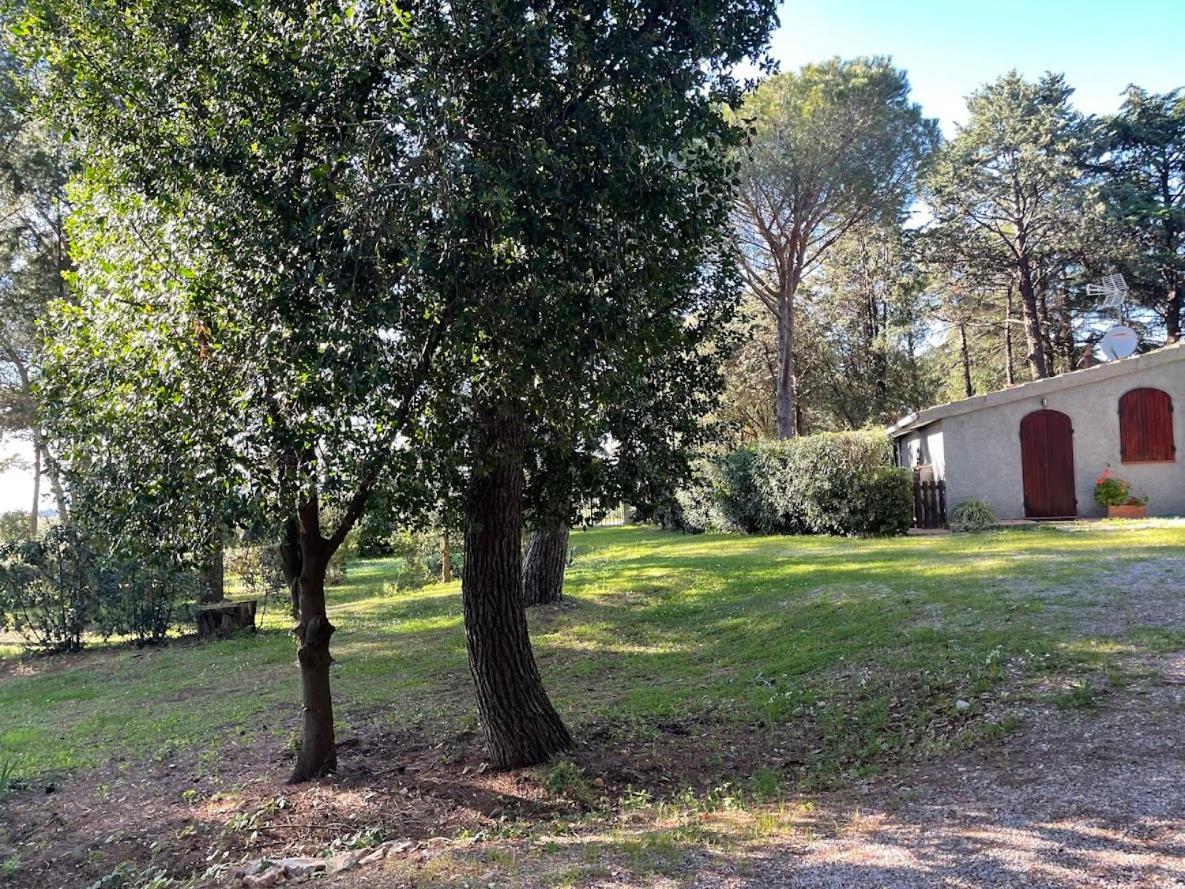 Agriturismo Podere Campalto Campiglia Marittima Bagian luar foto