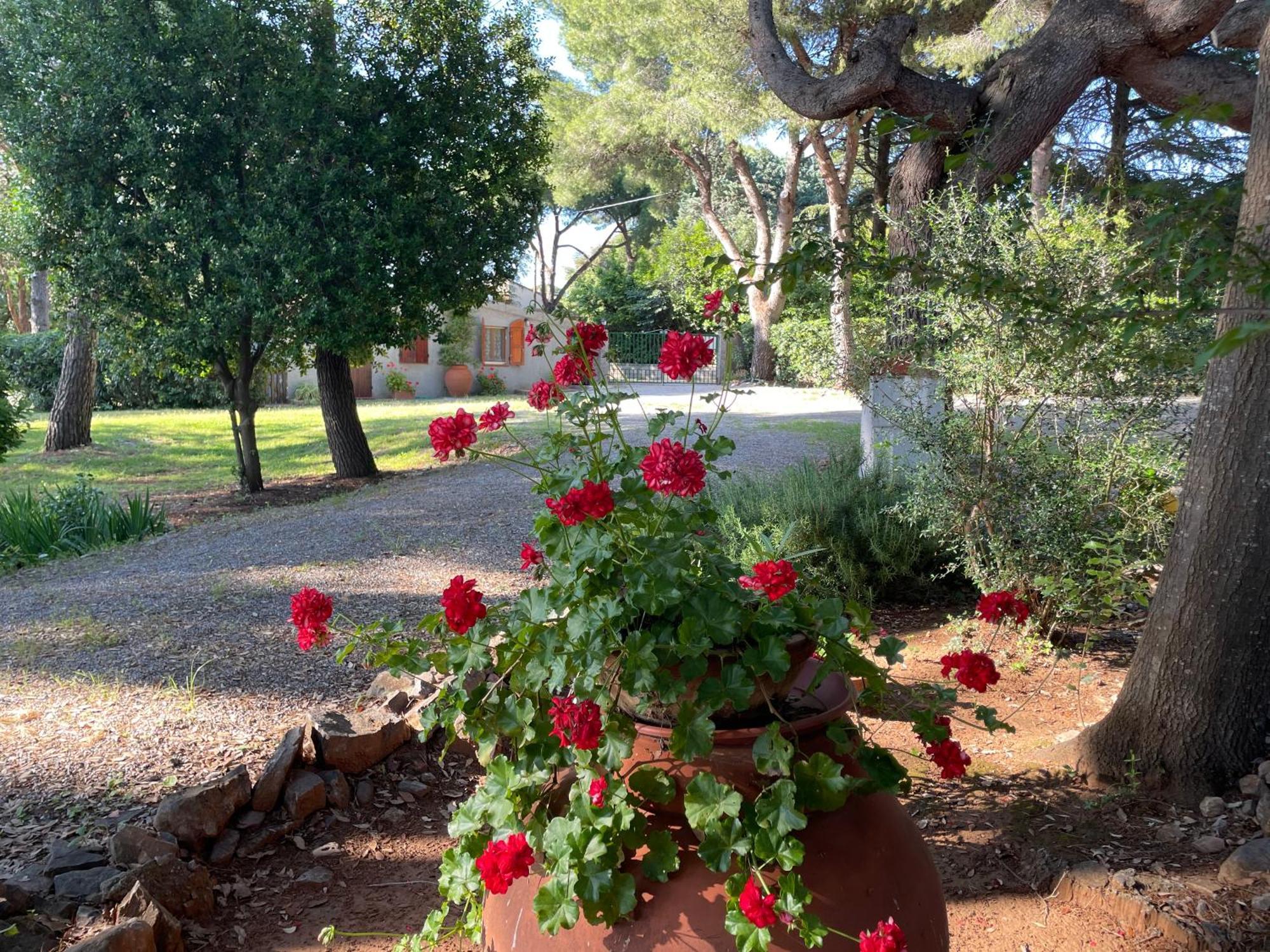 Agriturismo Podere Campalto Campiglia Marittima Bagian luar foto