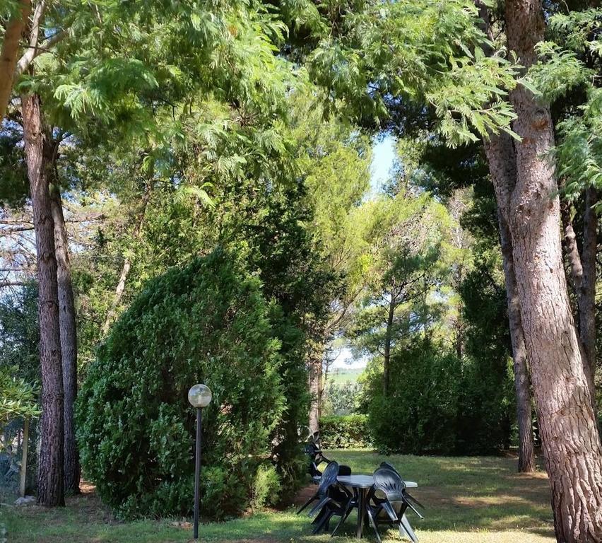 Agriturismo Podere Campalto Campiglia Marittima Bagian luar foto