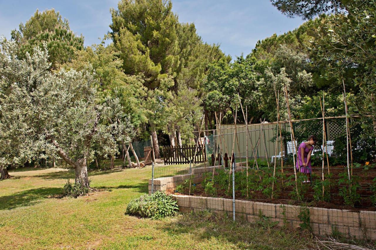 Agriturismo Podere Campalto Campiglia Marittima Bagian luar foto