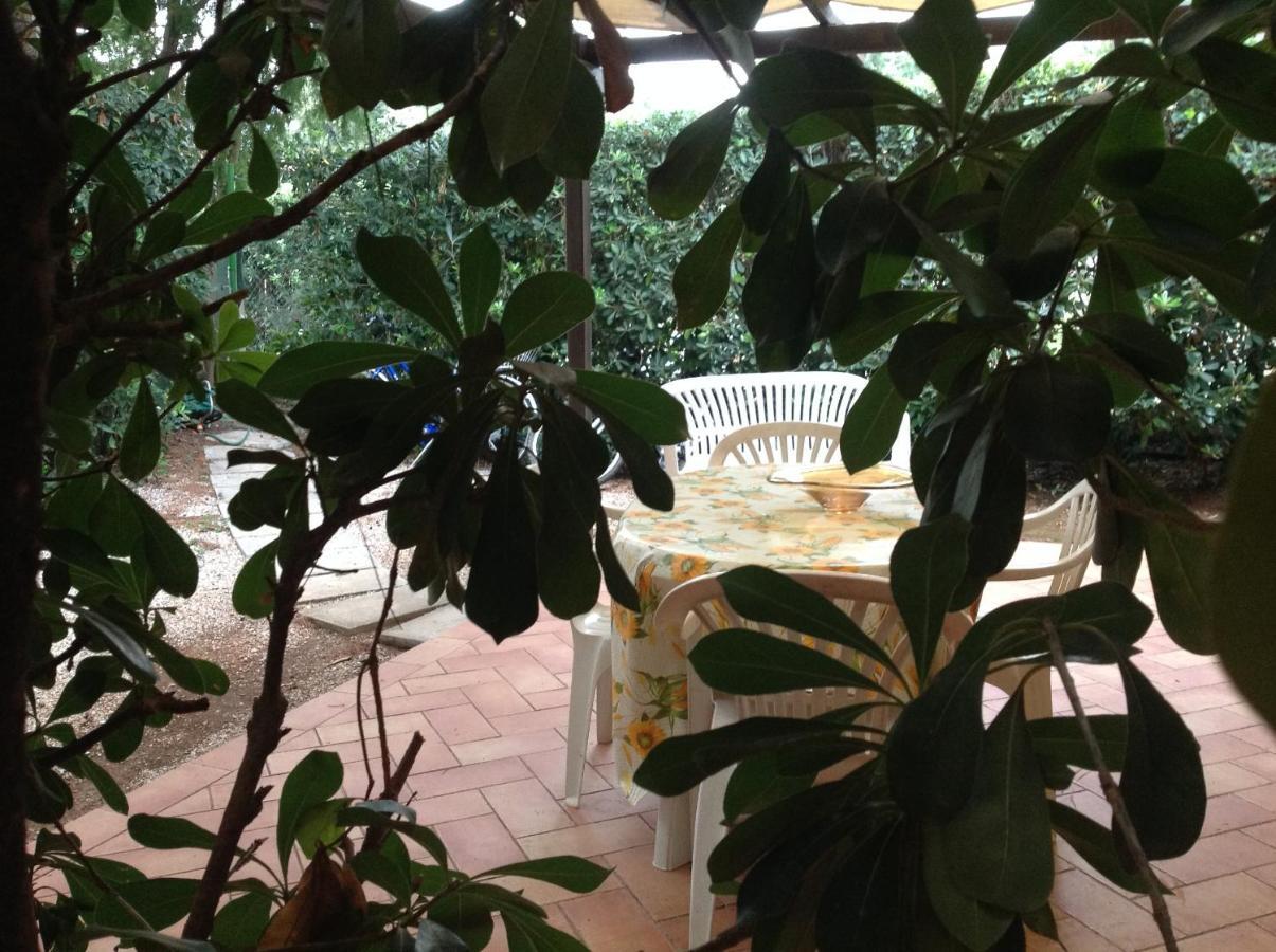 Agriturismo Podere Campalto Campiglia Marittima Bagian luar foto